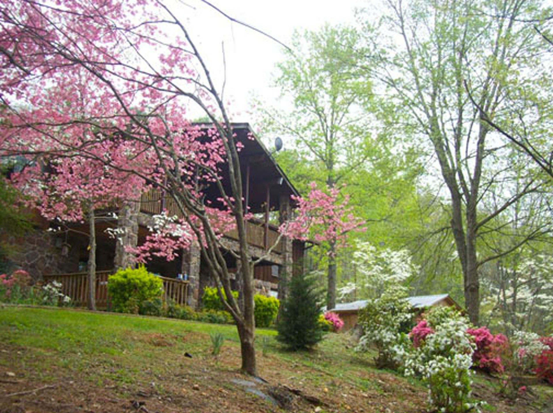 Spring time at house 2