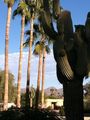 Img 0525