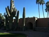 Img 0524