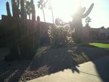 Img 0523