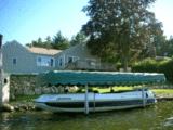 Backyard4