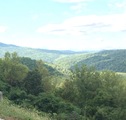 Img 0581