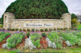 2.1 bristlecone pines