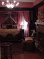 Portico rose best