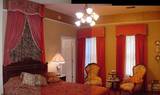 Website acorn photo bird of paradise room
