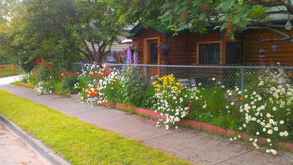 Cozy Cottage near Downtown Anchorage, AK