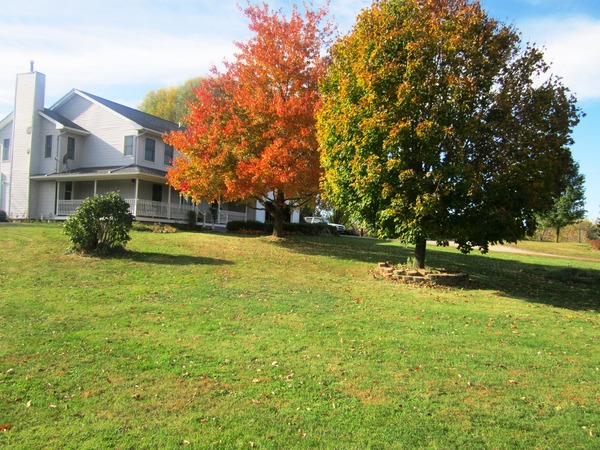 Perfect family friendly 5 bedroom home