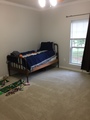 Img 1515