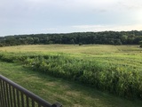 Img 0192