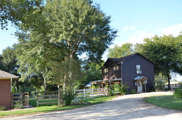 Treehouse Apt