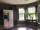 Img 1524