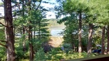 Cabin back yard