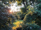 Img 0334