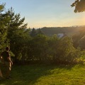 Img 0328