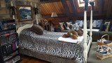 Loft picture  2