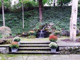 Outside fountain 10 15