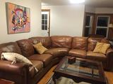 Tv room alt view