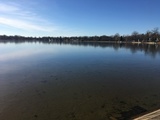 Img 5548