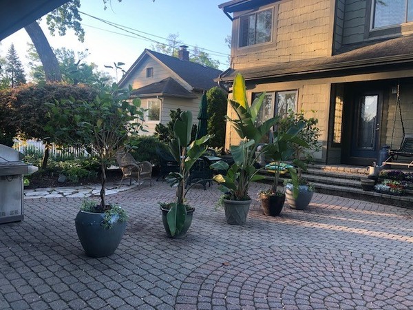Clean, open floor plan, fully renovated
