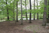 Img 7334
