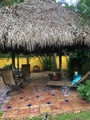 Img 4501