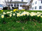 Blogimg 5359