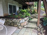 Img 1164