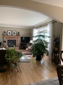 Img 9361