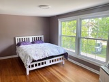 Purple room