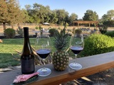 Back yard wine glass