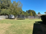 Back yard 