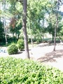 Image6