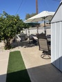 Img 3726