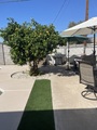 Img 3725