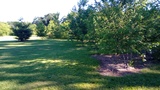 Img 20240607 092527851