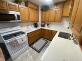 Img 0950
