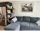 Livingroom pullout