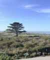 View from deck 