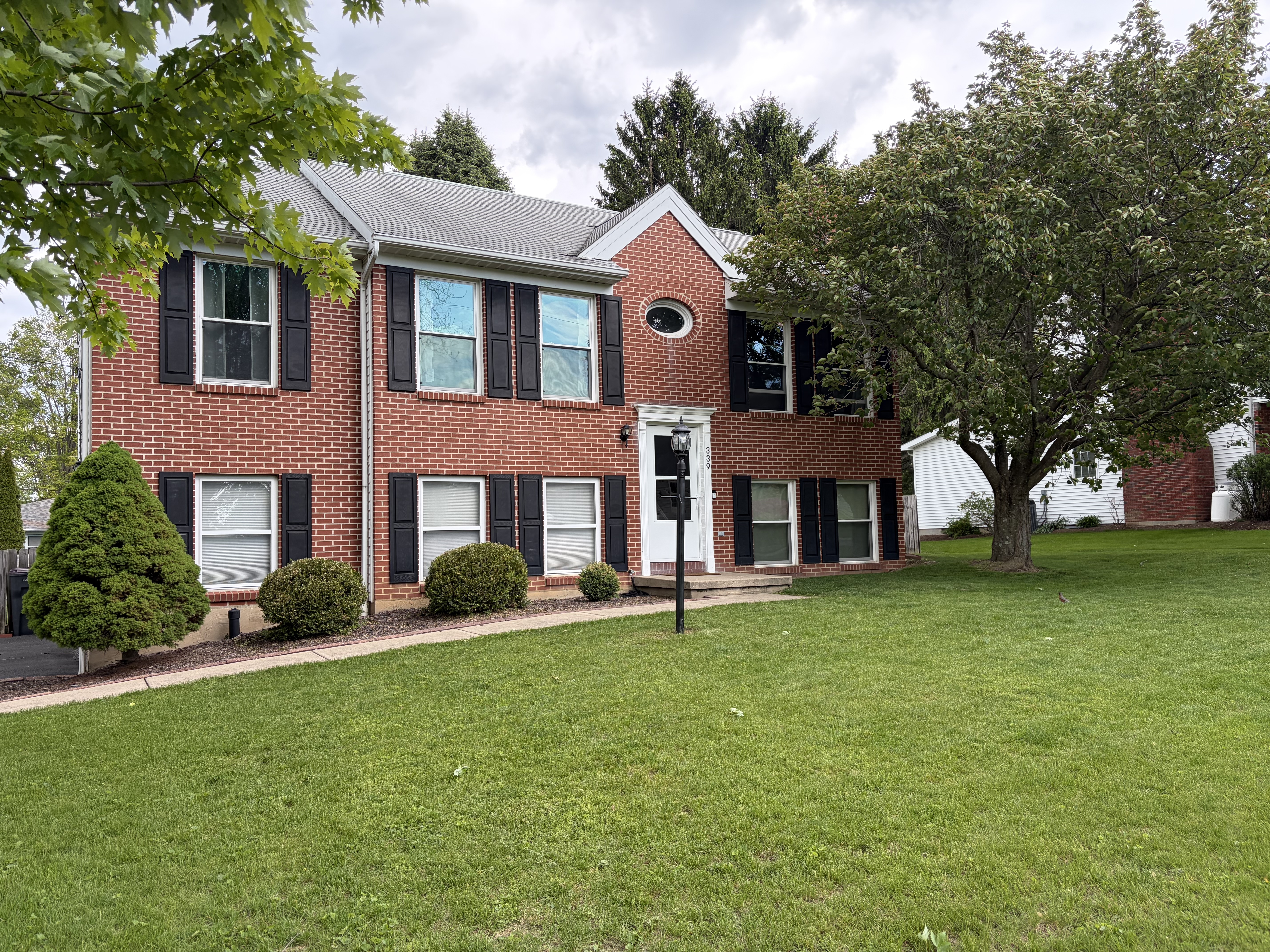 Image  12 