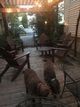 Img 3361