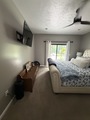 Img 2686