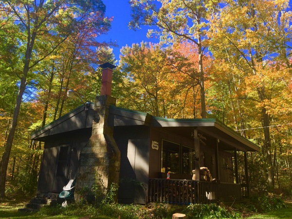 Cozy camp in state forest