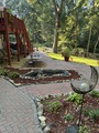 Backyard1