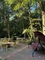 Backyard2