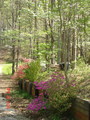 Dsc03536