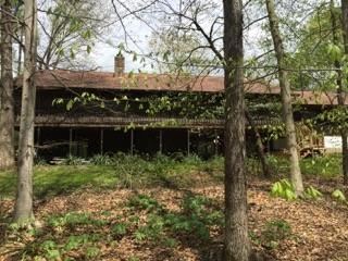 SanctuaryFound - a woodsy hideaway 